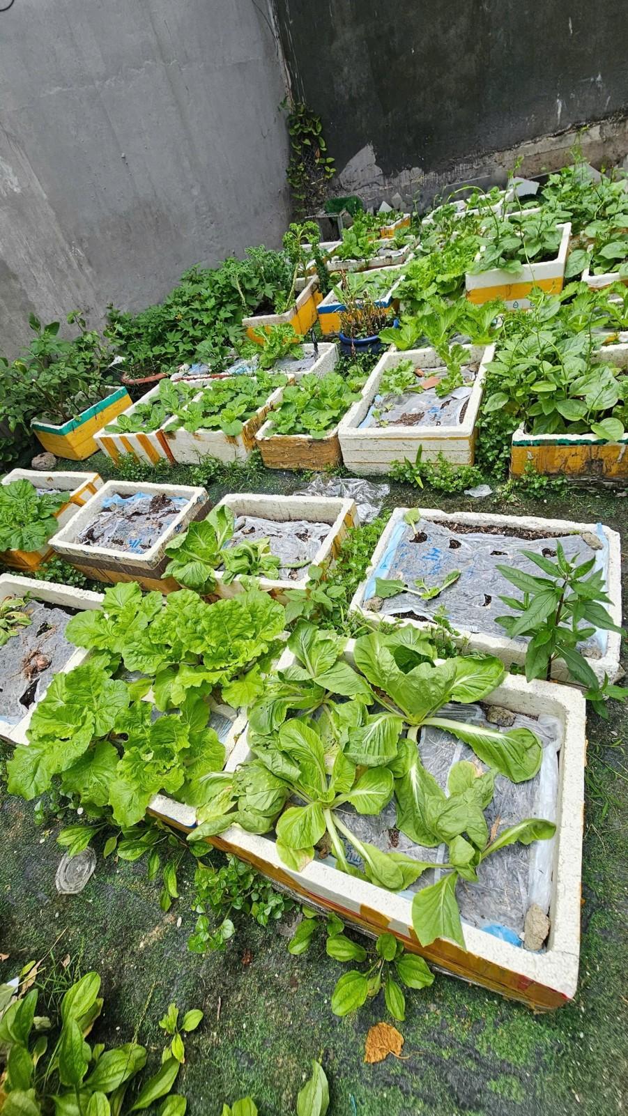 Thửa 741 Tờ 21, Tân Chánh Hiệp, Quận 12