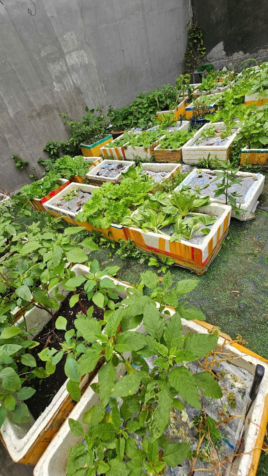 Thửa 741 Tờ 21, Tân Chánh Hiệp, Quận 12