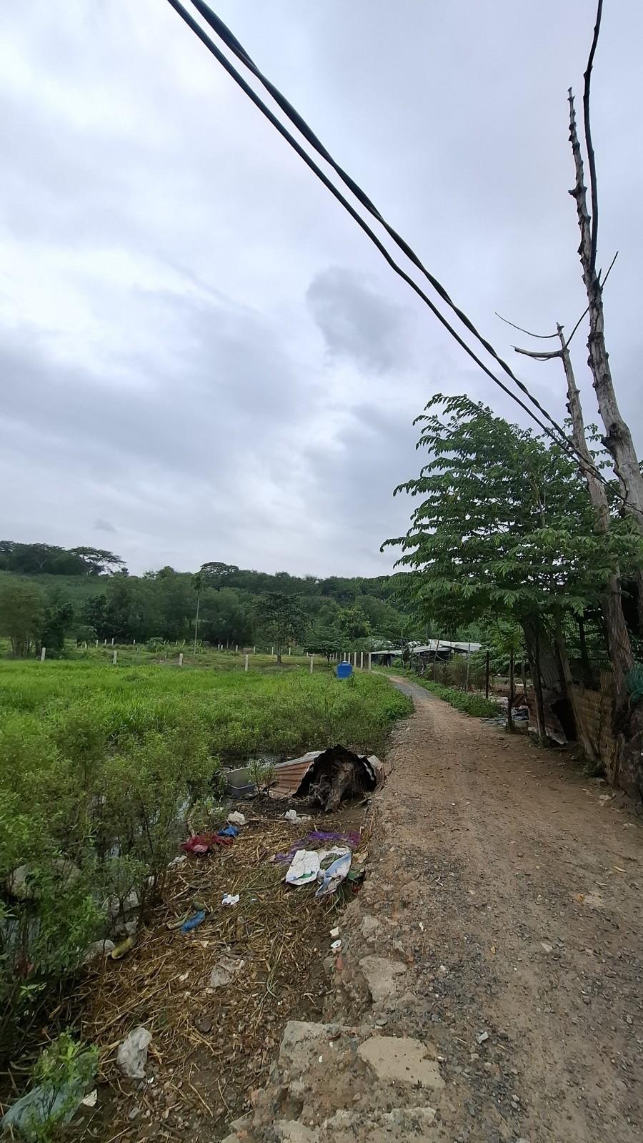 Thửa 559 Tờ 4 Đông Thạnh, Hóc Môn