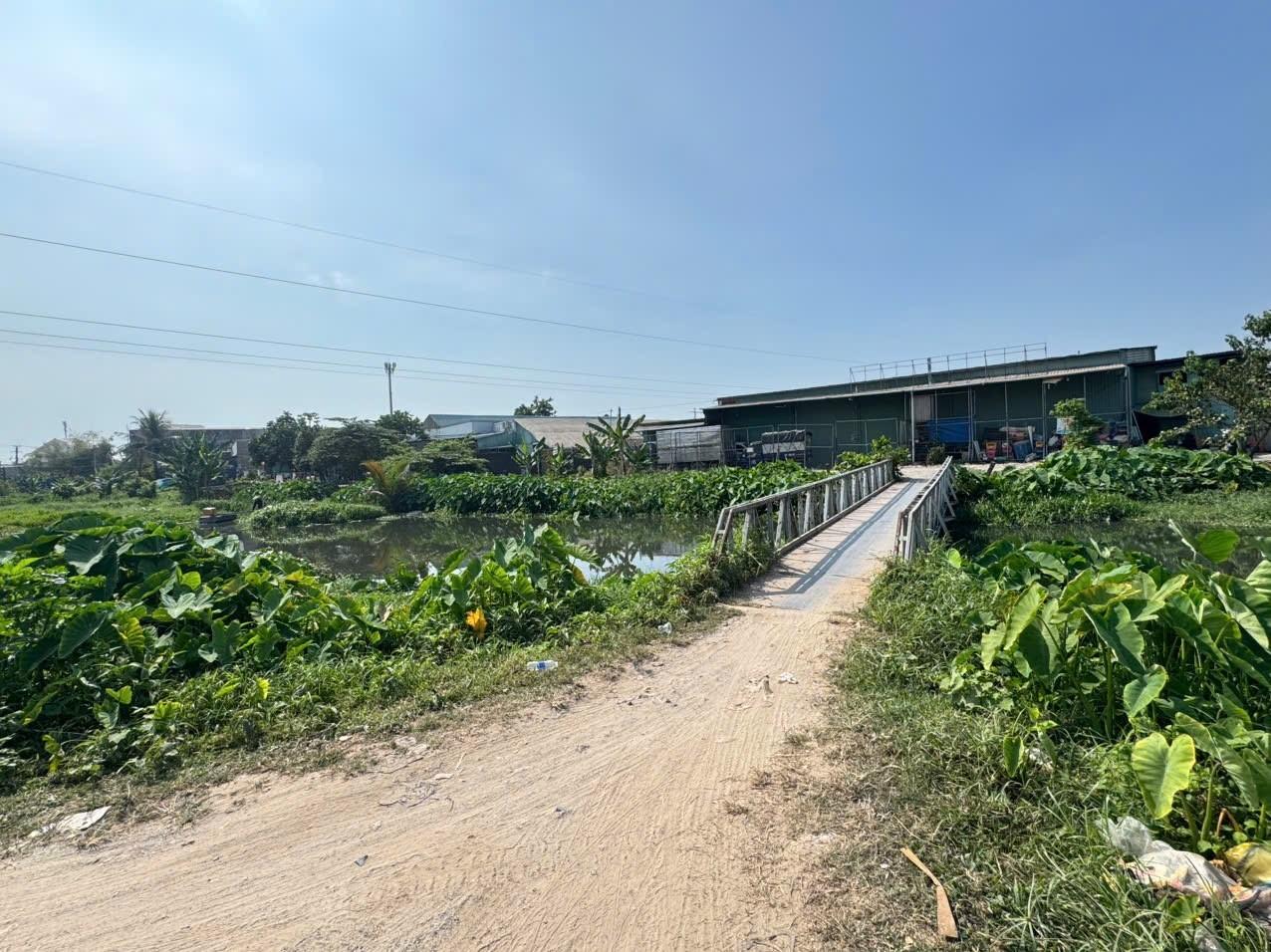 Khu phố Đông Ba (Thửa 4490 Tờ 123)