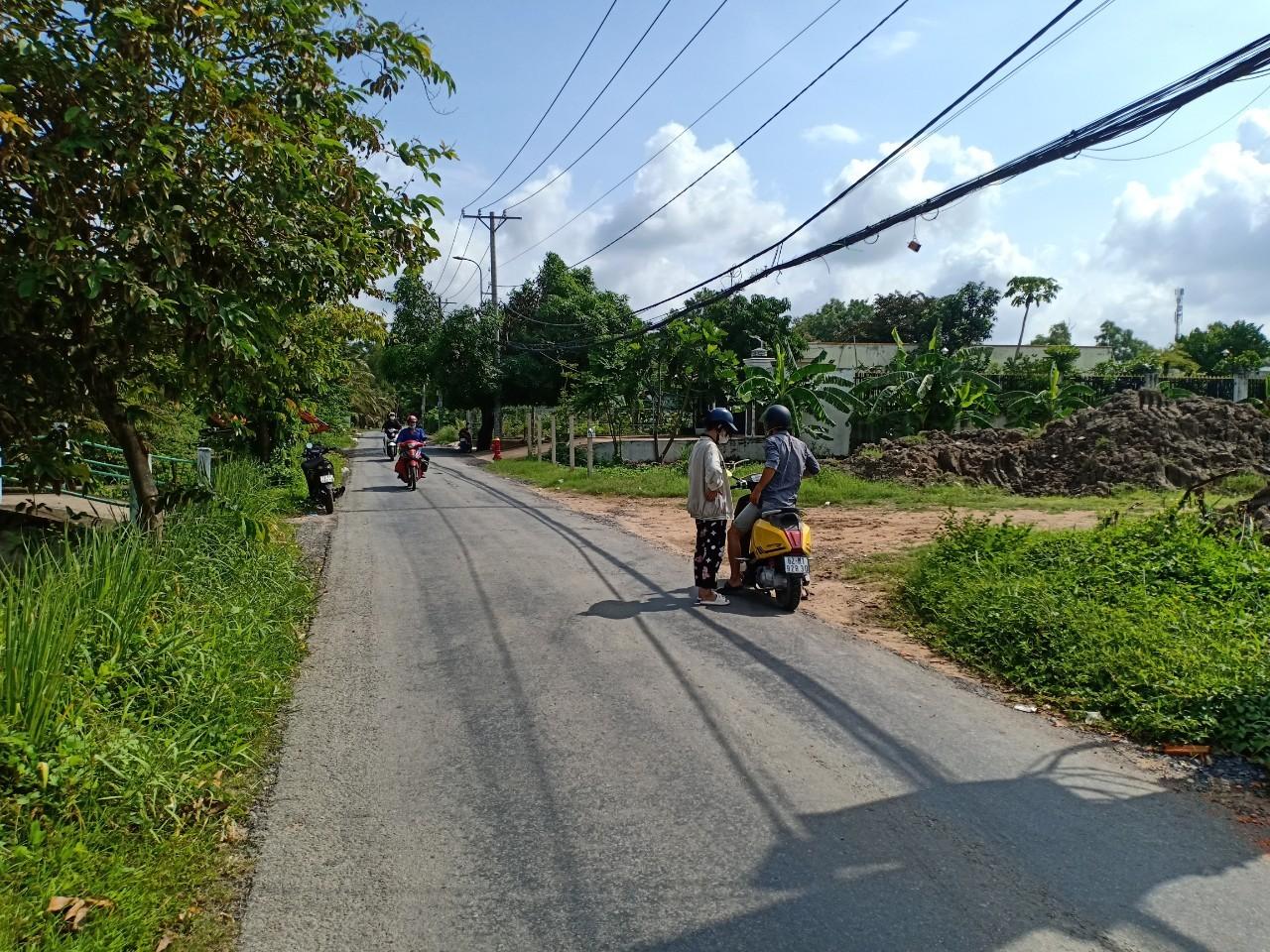 Thửa 541 tờ 3 Đường T12, Bình Chánh