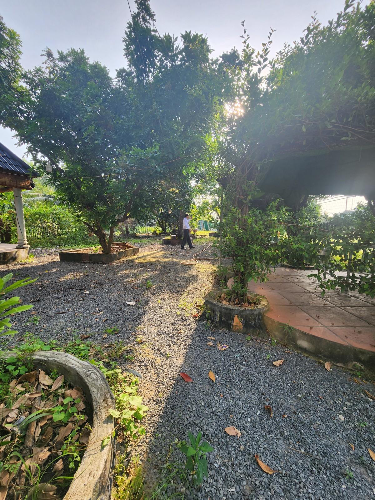 A14.15D Thiên Giang ( Thửa 604, 605, 606, 829 Tờ 14 ), Tân Túc, Bình Chánh