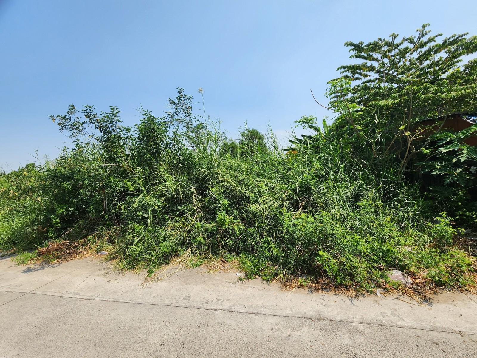 Thửa 134, 653 Tờ 21 Nguyễn Văn Tạo, Long Thới, Nhà Bè