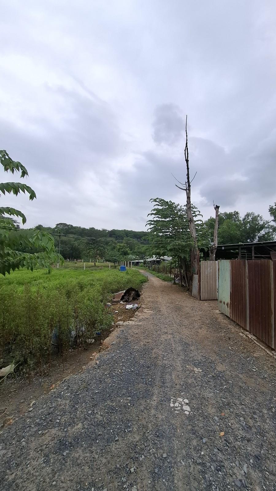 Thửa 559 Tờ 4 Đông Thạnh, Hóc Môn
